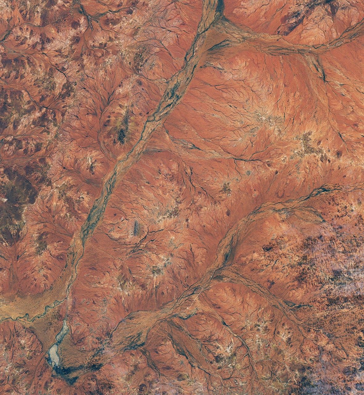 Landsat 8 satellite view of the same part of Western Australia appearing mostly rust colored on August 19, 2025