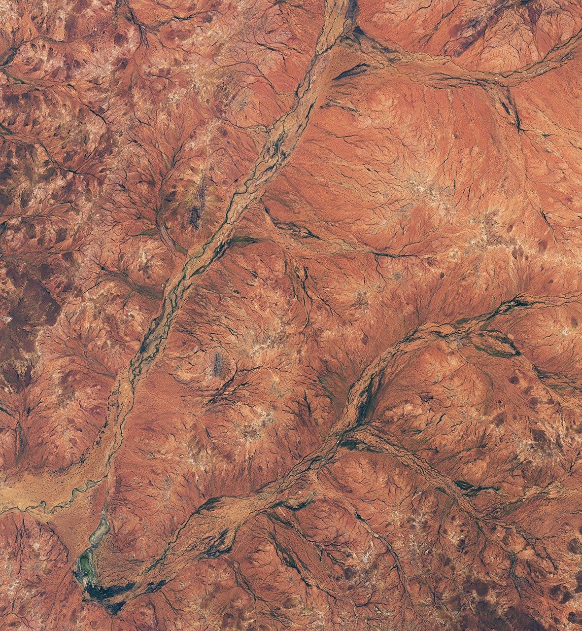 Landsat 8 satellite view showing green vegetation following riverbeds across rust-colored Western Australia on August 30, 2026