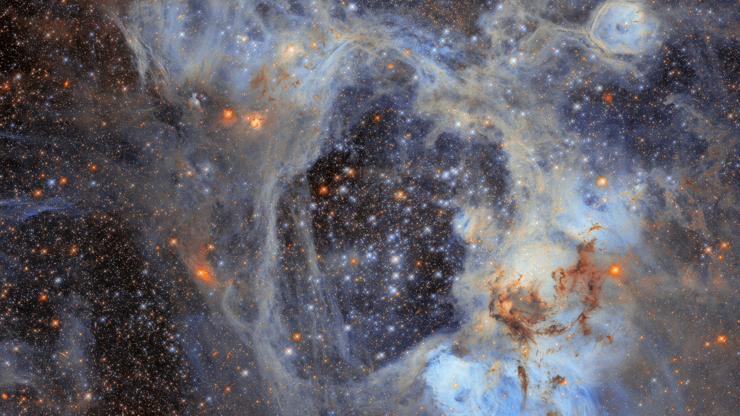 A dense Hubble star field crossed by pale blue gas, dark dust, and the large central hollow of the N44 nebula