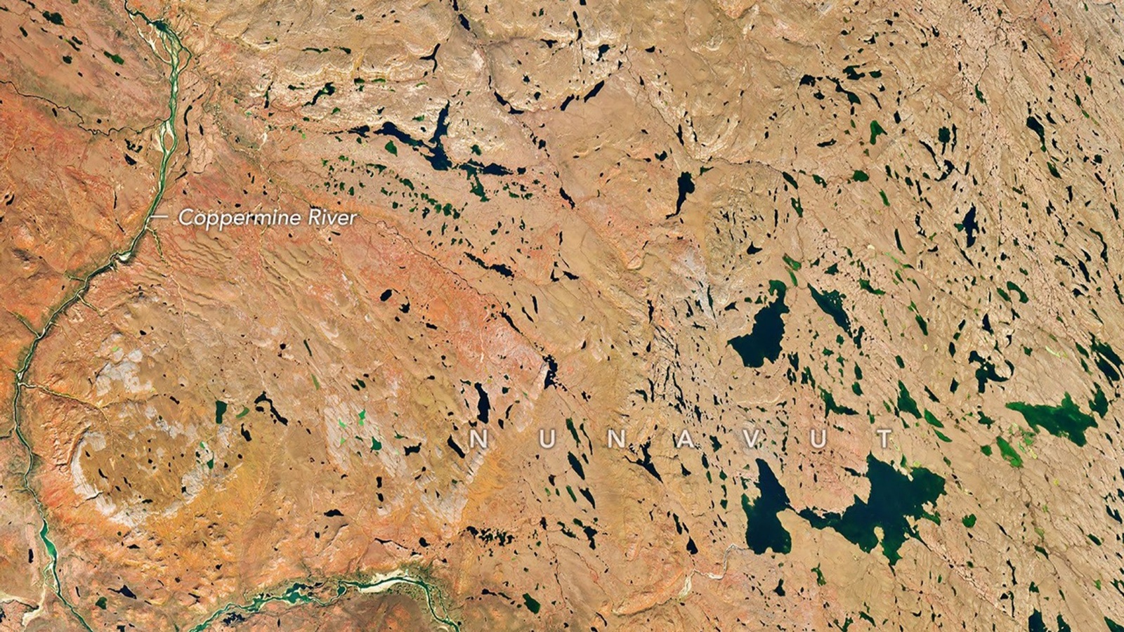Landsat 9 view of the Coppermine River winding through tan, orange and red autumn tundra dotted with dark lakes in Nunavut