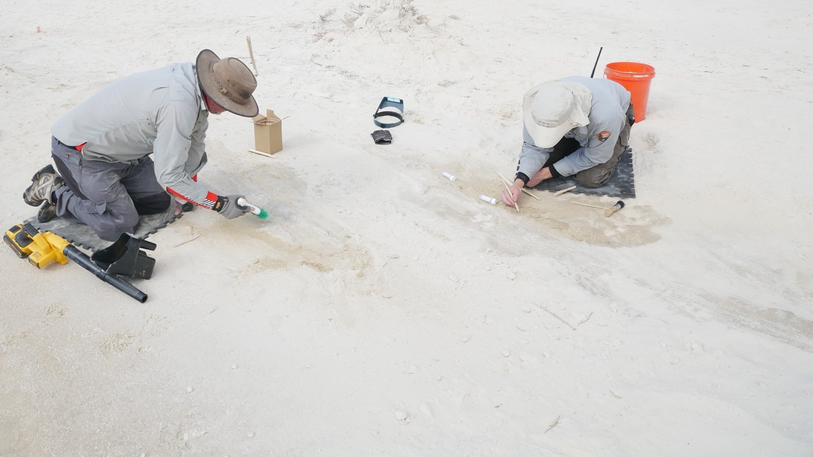 Two National Park Service researchers kneel on pale gypsum sediment and use hand tools to uncover fossil footprints at White Sands National Park.